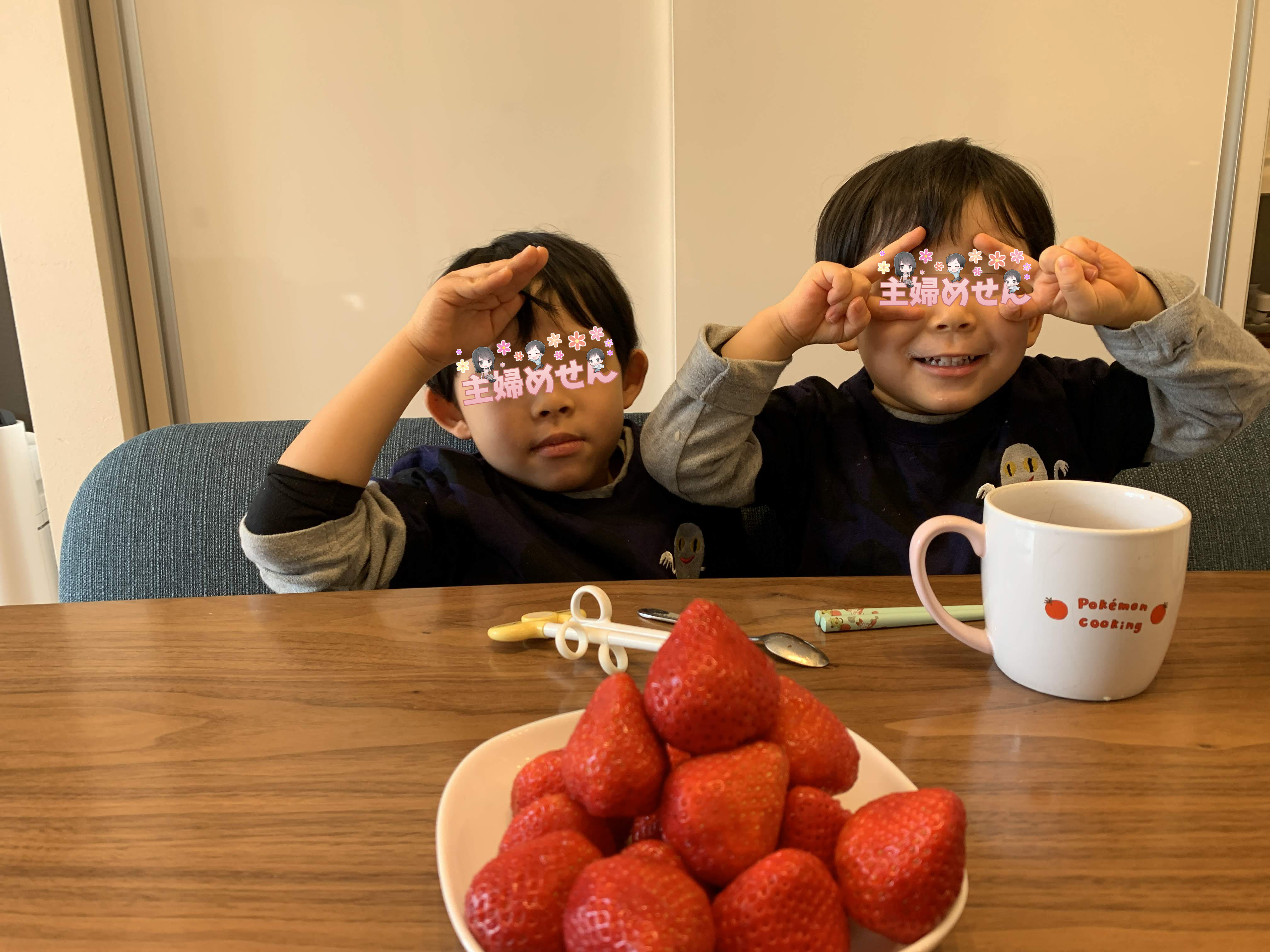 ふるさと納税：福岡県太宰府市の「あまおう」はおすすめできる？ | 主婦めせん