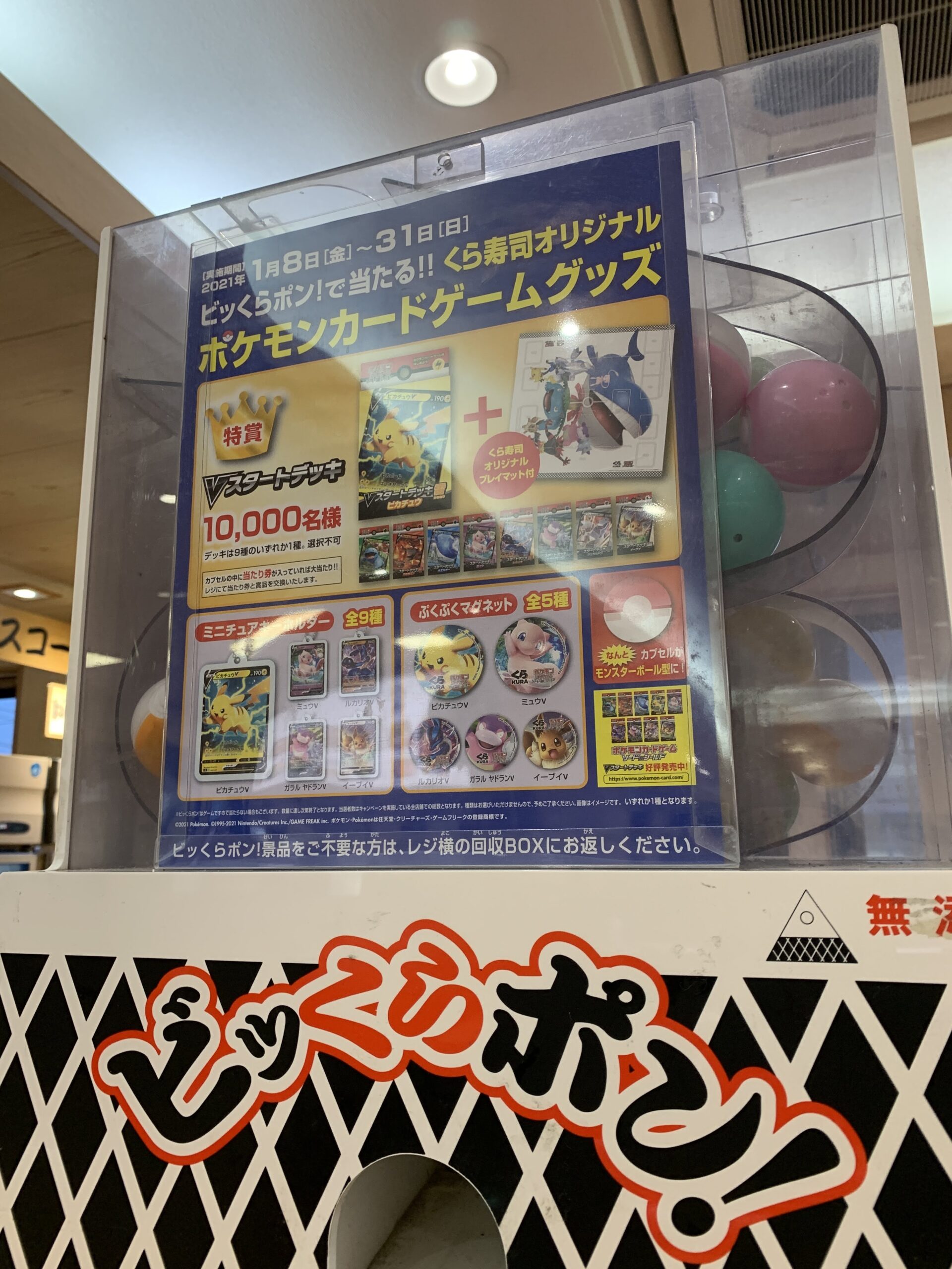 海外最新 ポケモンカード くら寿司コラボ クリアファイル ピカチュウ ポケカ