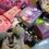 ディズニーハロウィンお菓子のお土産おすすめは？実際に購入してみた